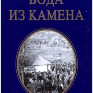 Voda iz kamena - Ljiljana Habjanović Đurović